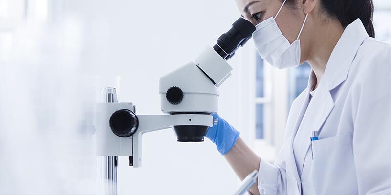 Inkasso Dienstleistung Humanmedizin Tiermedizin Zahnmedizin