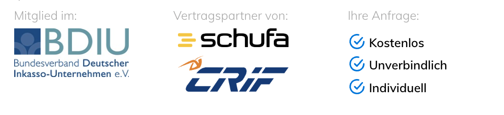 Inkasso beauftragen 29